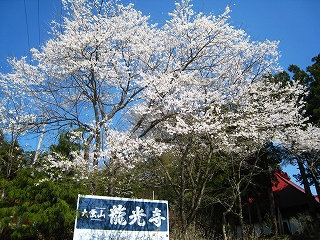 ̃V_UN