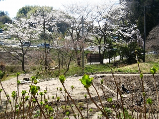 ̃V_UN