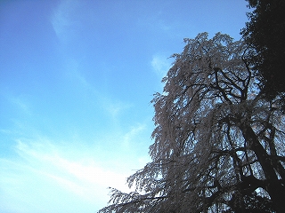 ̃V_UN