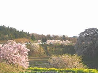 ̃V_UN