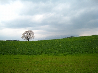 _