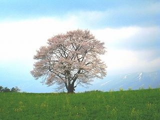 _