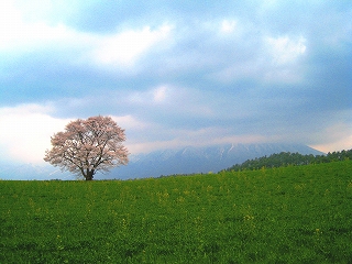 _