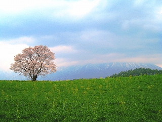 _