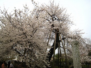 Όˊ
