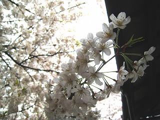 Όˊ