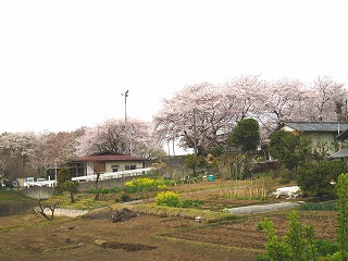 Όˊ