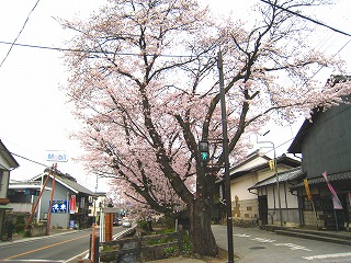 鉺