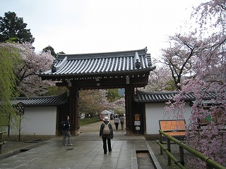 펛