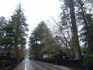 角館・武家屋敷通り