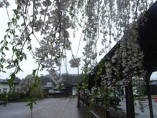 角館駅前