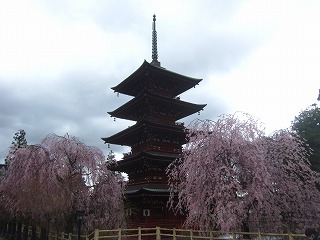 最勝院五重塔