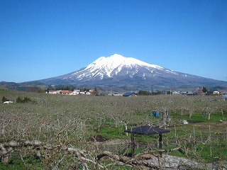 りんご公園と岩木山