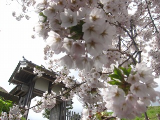 天神坂の景観
