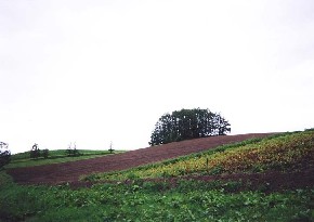 lE}ChZűu