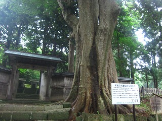 Oˎ揊ƑO