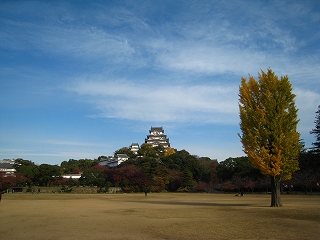 PH