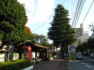 市役所