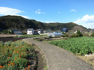 田園風景