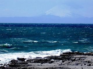 海