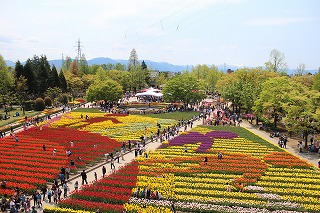 公園