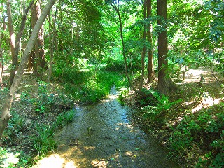 湧水