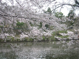 茂原公園
