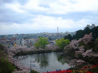 茂原公園と市街地