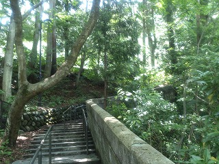 滝見橋