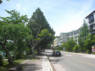 ホテルなどが建ち並ぶ風景