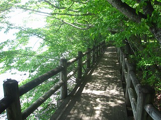 中禅寺湖周回歩道