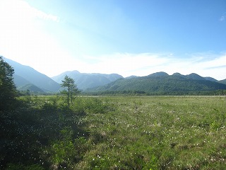 戦場ヶ原