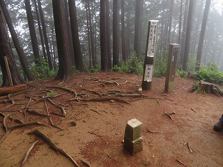 大高取山山頂
