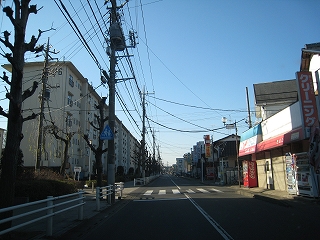 scn