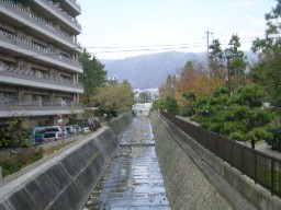 Ή̌i