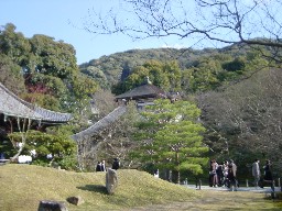 䎛뉀
