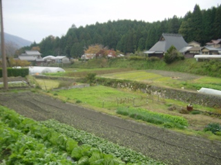 大原の里