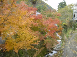 呂川の景観