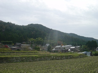 棚田