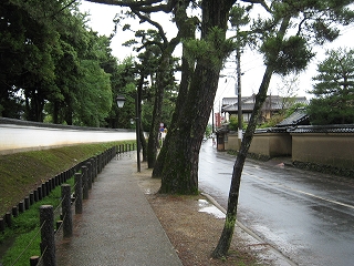 펛O