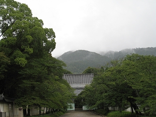 펛