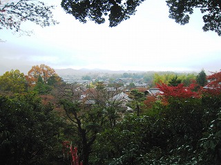 쉓i