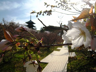 䎺