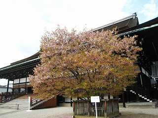 䏊