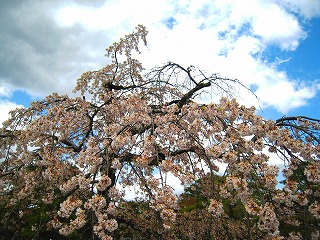䏊