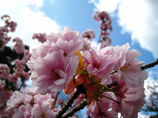䏊
