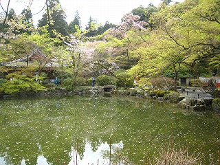 펛