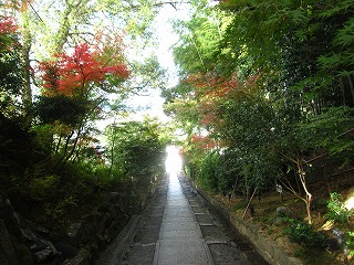 䏊