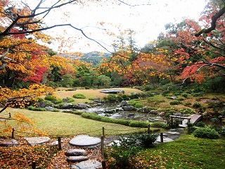 佒뉀