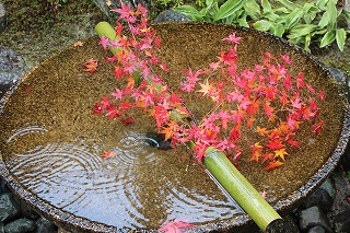 圓光寺・水琴窟